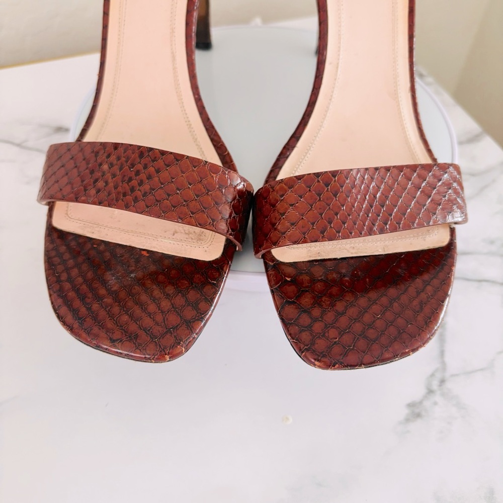 Authentic Celine Embossed Python Brown / Burgandy… - image 3